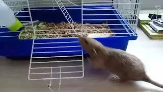 Вот хитрая.. Я её не видела 🤷‍♀️😂