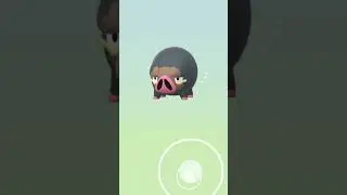 Hatching Expensive but Decent EGGS in Pokemon Go!