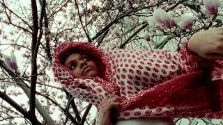 5D Woman (Feat. Quincie)