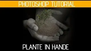 Photoshop Tutorial Plante in Hand.HD