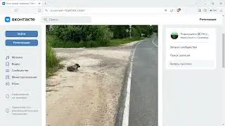 Собака на улице в деревне Попиново