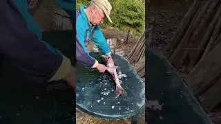 Рыбалка удалась. Сокольское. Весна 🔥