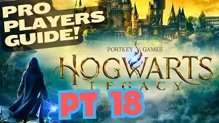 Hogwarts Legacy Pt 18