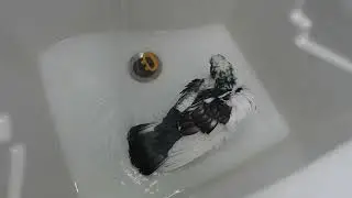 Latte the pigeon enjoy a good shower