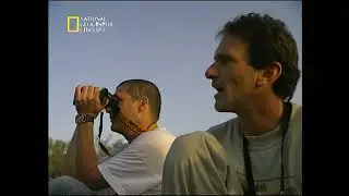 עיר השועלים
