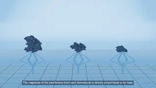 How a mass photometer works animation