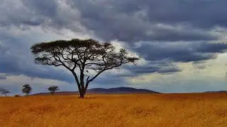 Magnom - Big Big Plans [Audio]