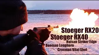Stoeger RX20, RX40, Hatsan Striker Edge, Beeman Longhorn, Crosman Vital Shot - 
