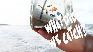 GOT NO BUDGET! SEA CREATURE HABITAT AWESOME, FUN AND FREE😀