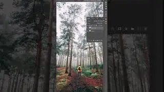 How to Create a Winter Wonderland using Adobe Photoshop