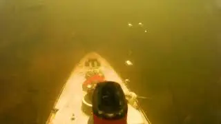 The Life Aquatic