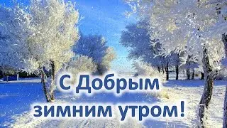 С добрым зимним утром. Красивое пожелание доброго утра и хорошего дня. 