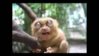 Когда Вова был маленький