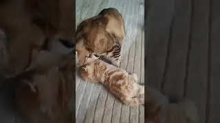 Старшие умывают малышей.