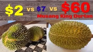 $2 Durian VS $60 Musang King Durian (Mao Shan Wang) | 榴莲 | ドリアン | Sầu Riêng