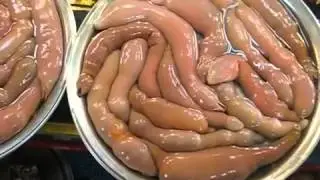 Weird Penis Fish At a South Korea Fish Market