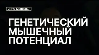Про Мышечный Генетический Потенциал