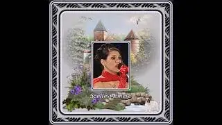 Szőllősi Emese : Tegnap sem ragyogott (Hiányzik valaki)