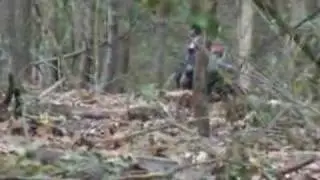 Joe Jr Turkey Smack Down # 2