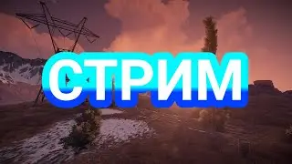 Стрим BRAWL STARS