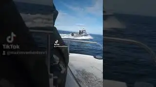 В погоне за рыбой. Баренцево море. п.Лиинахамари