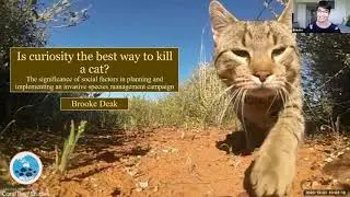 Is curiosity the best way to kill a cat? -Brooke Deak