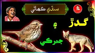 The Story of Jackal and Sparrow | Sindhi Kahani | Sindhi Stories