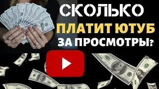 Доход с канала на youtube. Сколько платит ютуб за 1000 просмотров 2020. Заработок на youtube