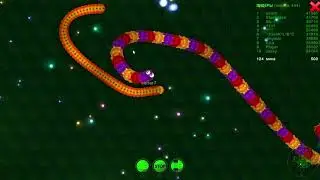 wormax.io 