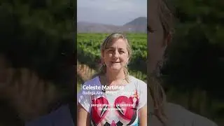 Día del #VinoArgentino