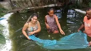 Criação de Tilápia, pegando peixe direto do tanque.