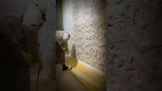 Мастер-спальня , гипсовые панели.