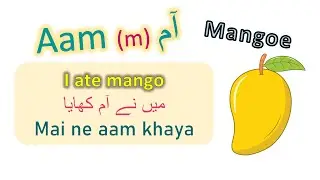 Learn Urdu Nouns in English | Urdu Nouns Gender for beginners