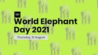 Happy World Elephant Day 2021 | Social Parindee
