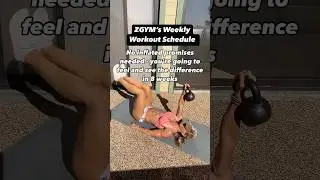 Fitness Transformations with ZGYM programs