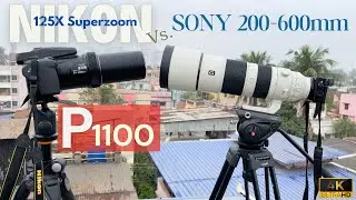 [Don't Buy Until You WATCH This!] - Nikon P1100 Vs. Sony 200-600mm | Distance, Bird, Moon & Jupiter