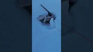 InShot рыбалка на Сергеевское водохранилище