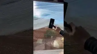 What’s That?!
