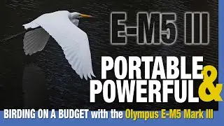 Pairing the Olympus E-M5 III + 12-200mm for birding and nature photography