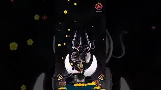 Damru