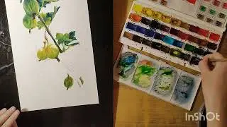Акварель