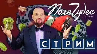 Новогодний стрим "Поле чудес"