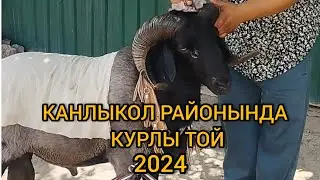 КАНЛЫКОЛ РАЙОНЫНДА КУРЛЫ ТОЙ КУАНЫШ КОШКАРПАЗДЫН ТОЙЫ. 23.06.2024