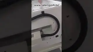 Вышивальная 2-х головочная 12-ти игольная машина Profi 1202