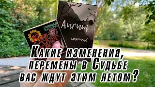 Какие изменения, перемены в Судьбе вас ждут этим летом? Гадание на пасьянсе и Ленорман Карина