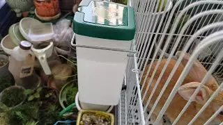 토끼 물통 대용량 급수기 1L 개봉기 & 건초