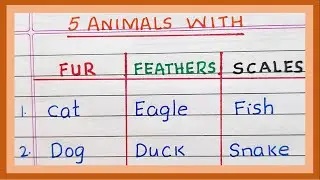 Animals with Fur Feathers and Scales | 5 Names of animals with fur feathers and scales
