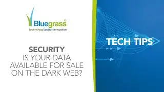 Dark Web Monitoring