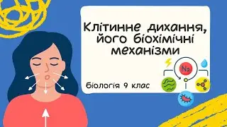 Біологія 9 клас  Клітинне дихання, його біохімічні механізми