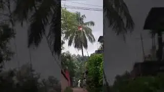 Lightning strikes